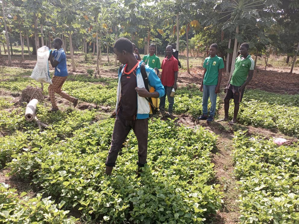 Protection biodiversité